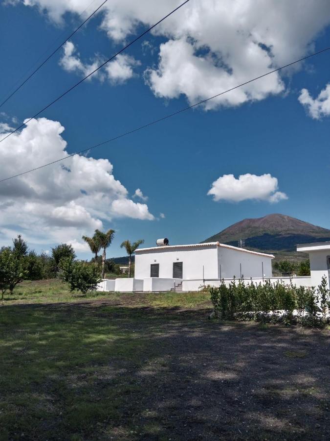 Vesuvio Casa De Charme Bed and Breakfast Trecase Exteriör bild